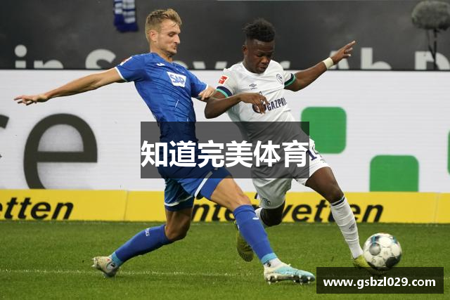 知道完美体育